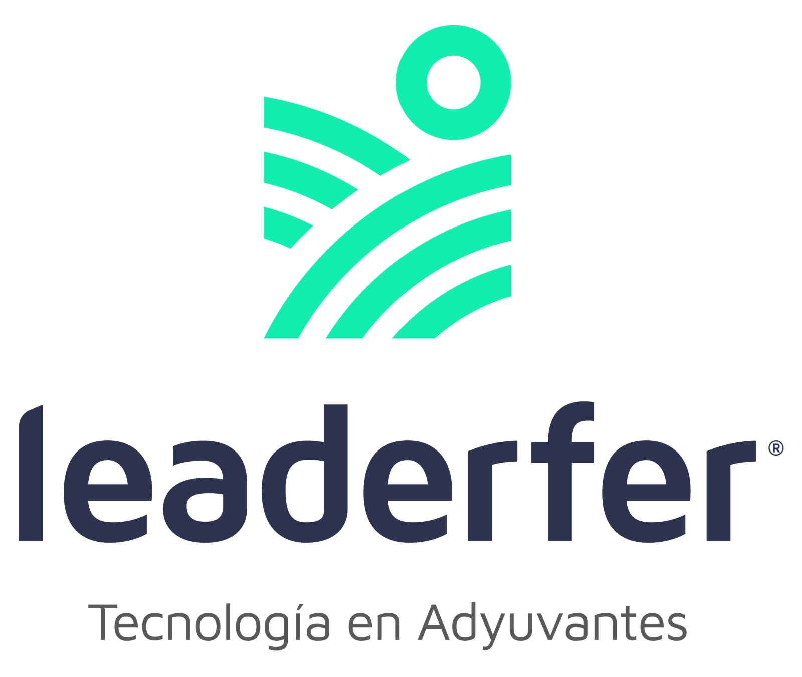 Logo de Leaderfer
